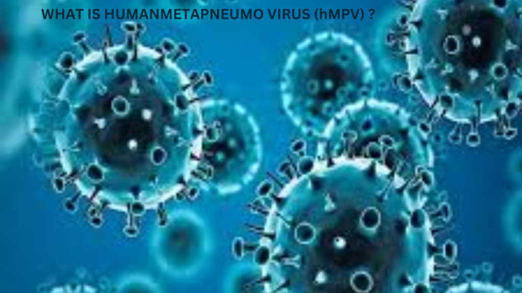 hMPV